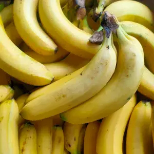 

pisang sunpride isi 2