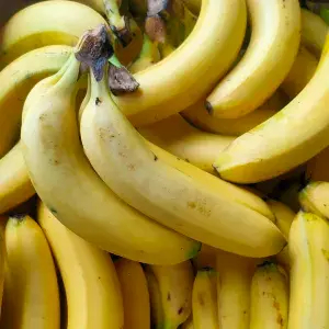 

pisang Sunpride isi 2pcs/1gandeng