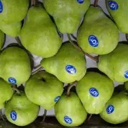 

buah potong pear ijo