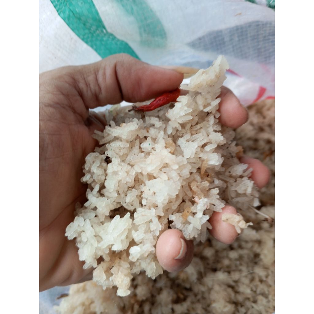

Karak nasi kering nasi aking wutuh 1 kg