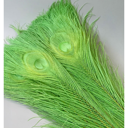 500pcs-Bulu merak putih/hijau gaya ins dekorasi rumah dekorasi Natal