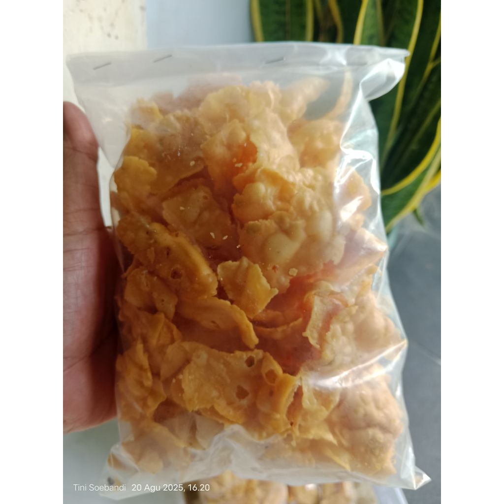 

kripik bawang 90gr