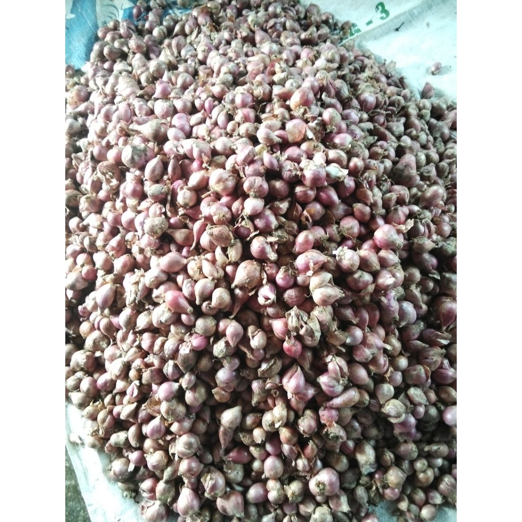 

bawang merah 1kg