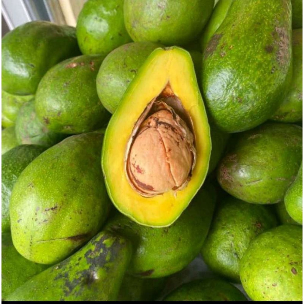 Alpukat Mentega 1kg Siap Matang