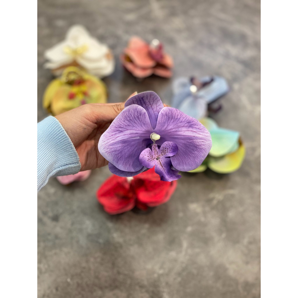 

Claw Orchid Jepit Bunga