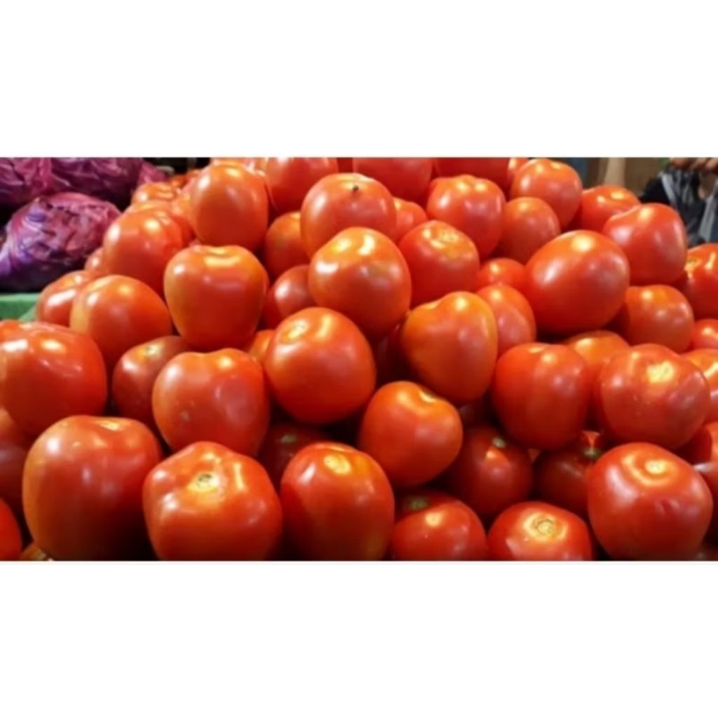 

Tomat merah segar per 500gr/1kg