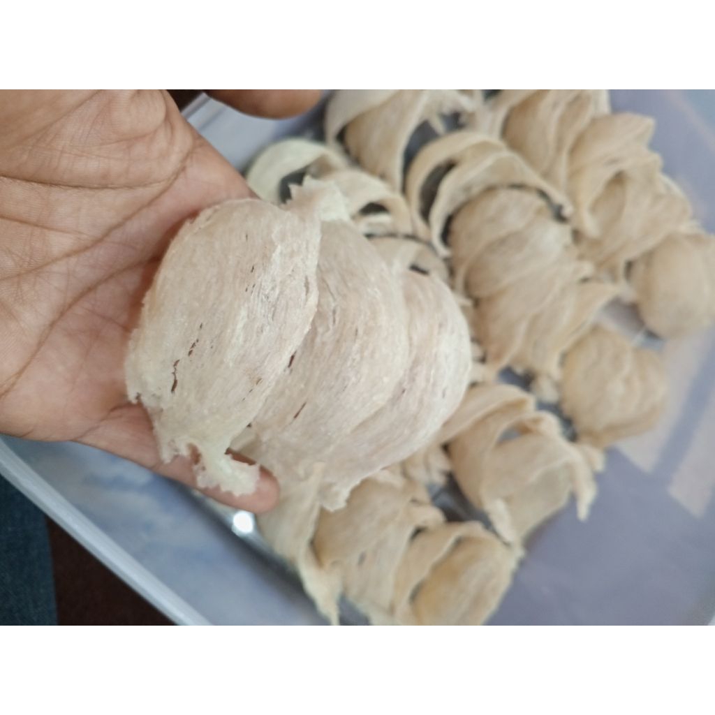 

SarangBurungWaletMangkok