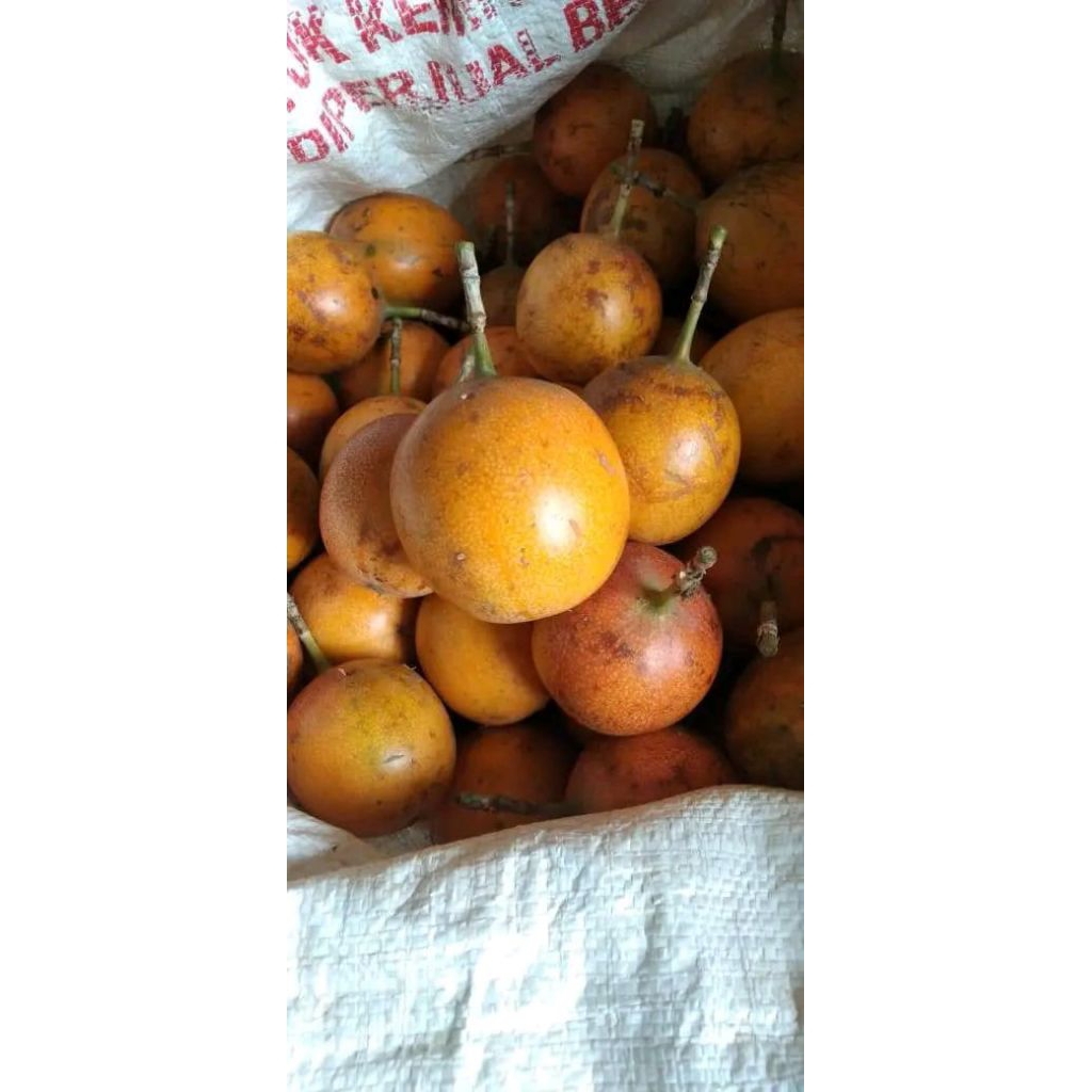 

buah konyal markisa sehat segar banyak manfaat kasiat