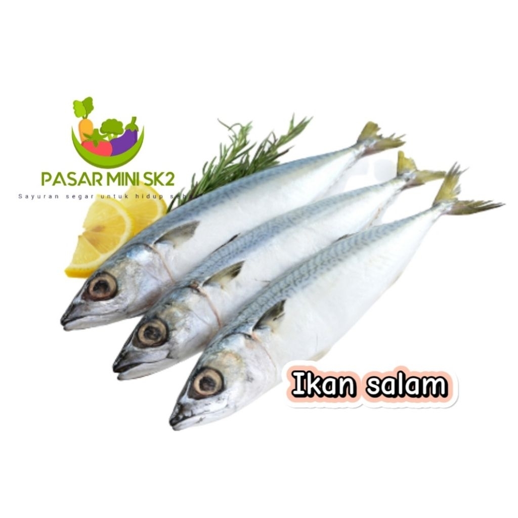 

Ikan botan fresh free siang