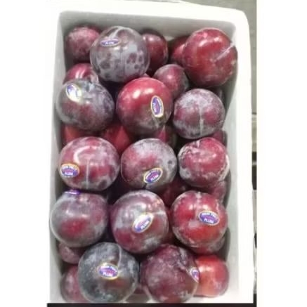 Buah plum red fresh 1kg
