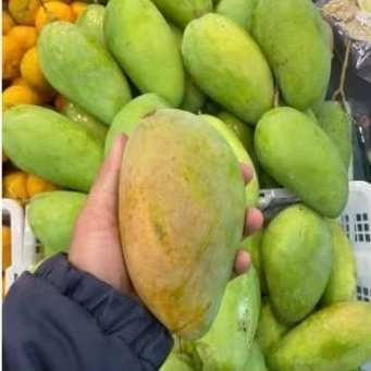 

Mangga kiao jay Thailand manis 1kg