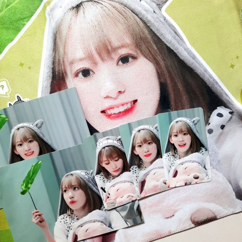 izone le sserafim sakura slogan totoro (DAPAT SEMUA DIFOTO)