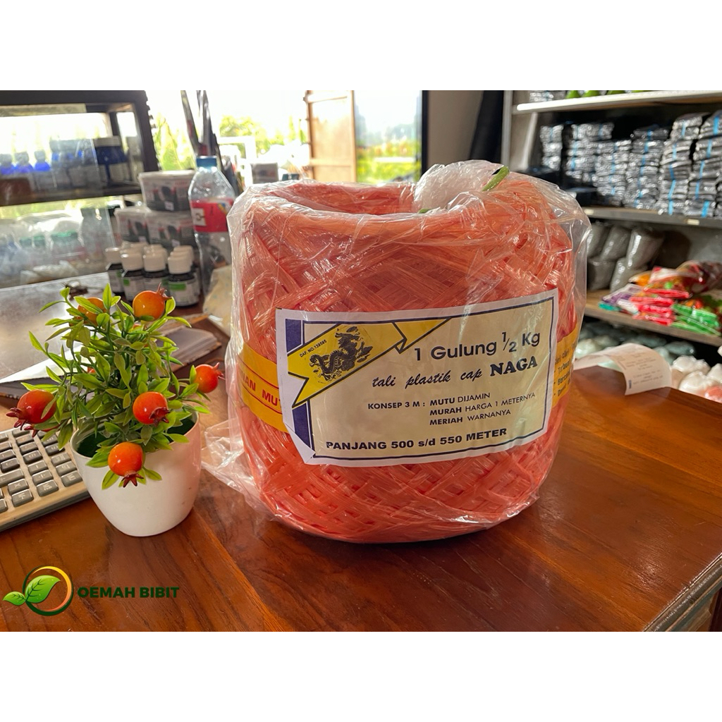 

Tali Plastik Rafia cap NAGA 500gr bening/tali kuat WARNA RANDOM