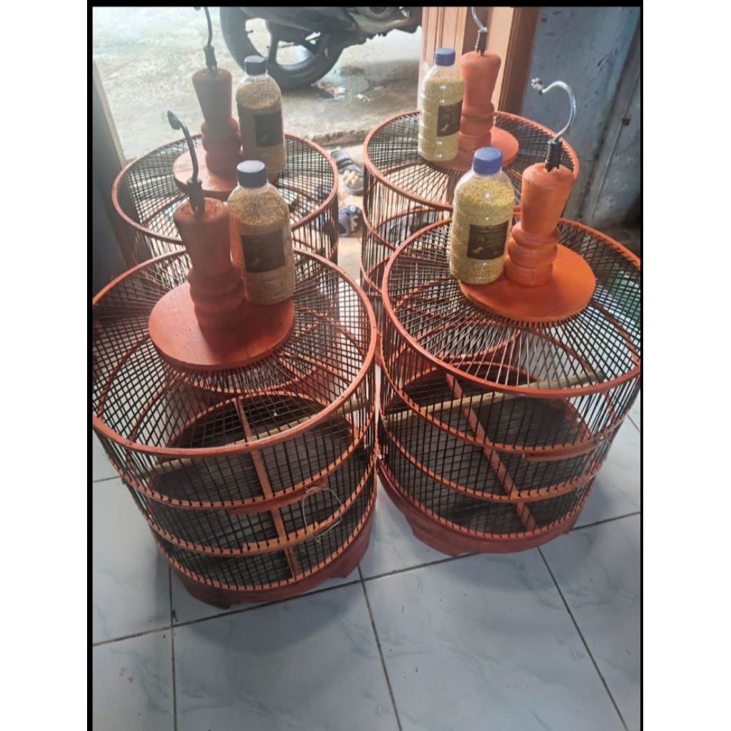 sangkar perkutut gratis pakan lomba