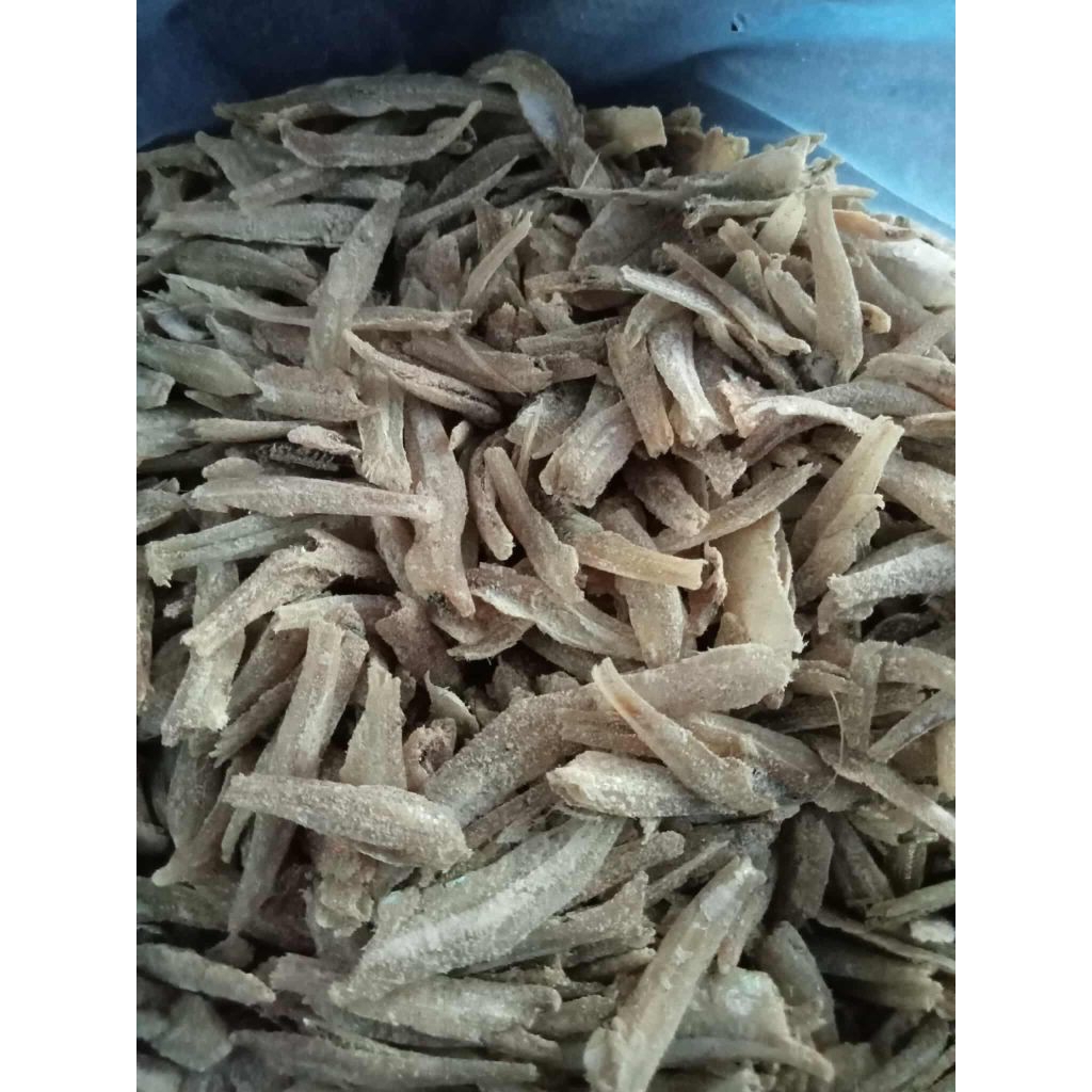 

ikan teri, ikan asin, sotong, udang, dan lain-lain