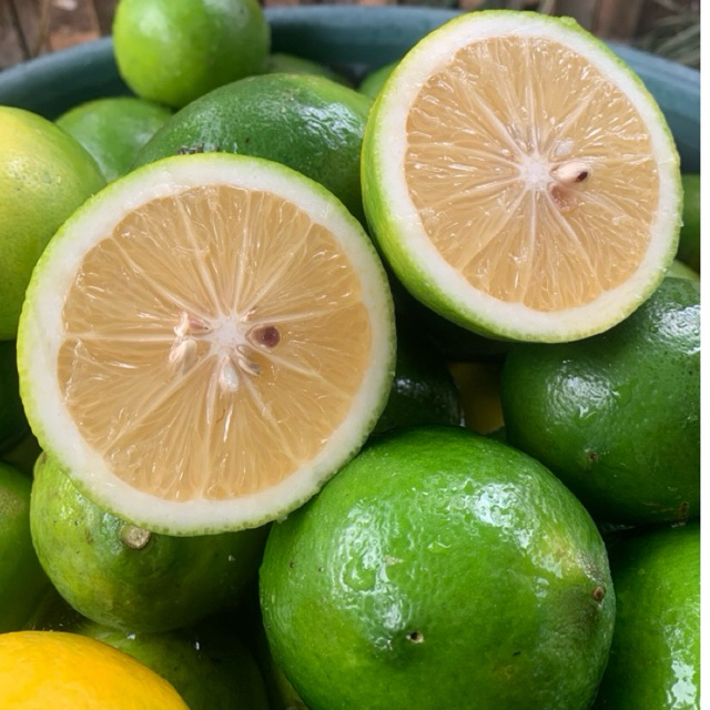 

Lemon california california fresh 1kg