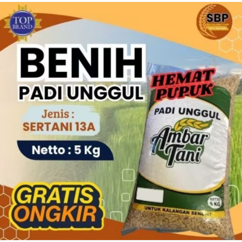 benih padi sertani 13A 5KG