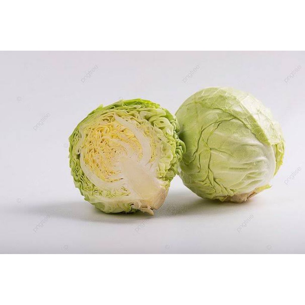 

Ronanaplant Kobis FRESH 1kg hasil pertanian lereng lawu