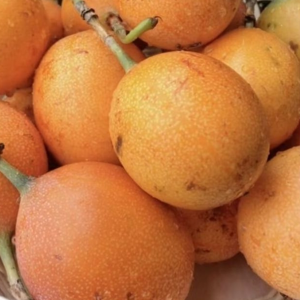 

Markisa konyal manis matang segar isi 500 Gram