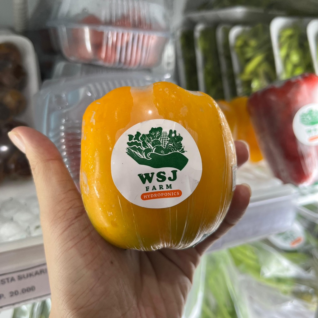 

PAPRIKA KUNING PER PCS SAYURAN FRESH SEGAR HIDROPONIK