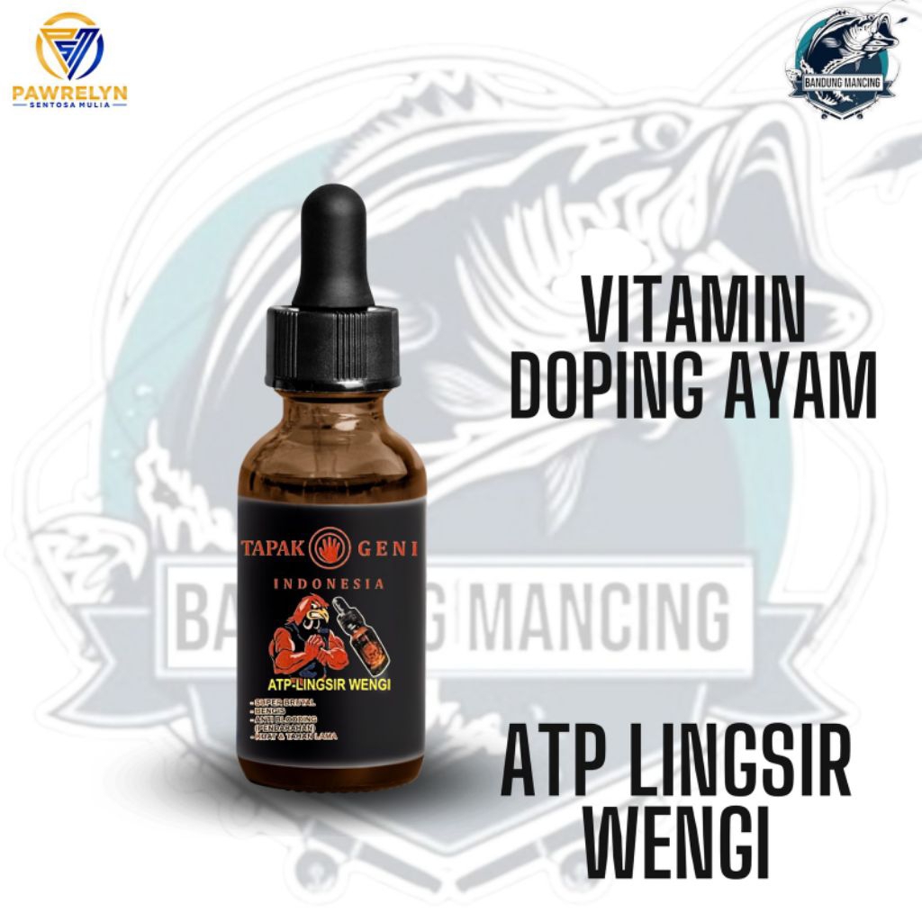 Bandung - Doping Ayam Laga ATP-Lingsir Wengi aduan ayam