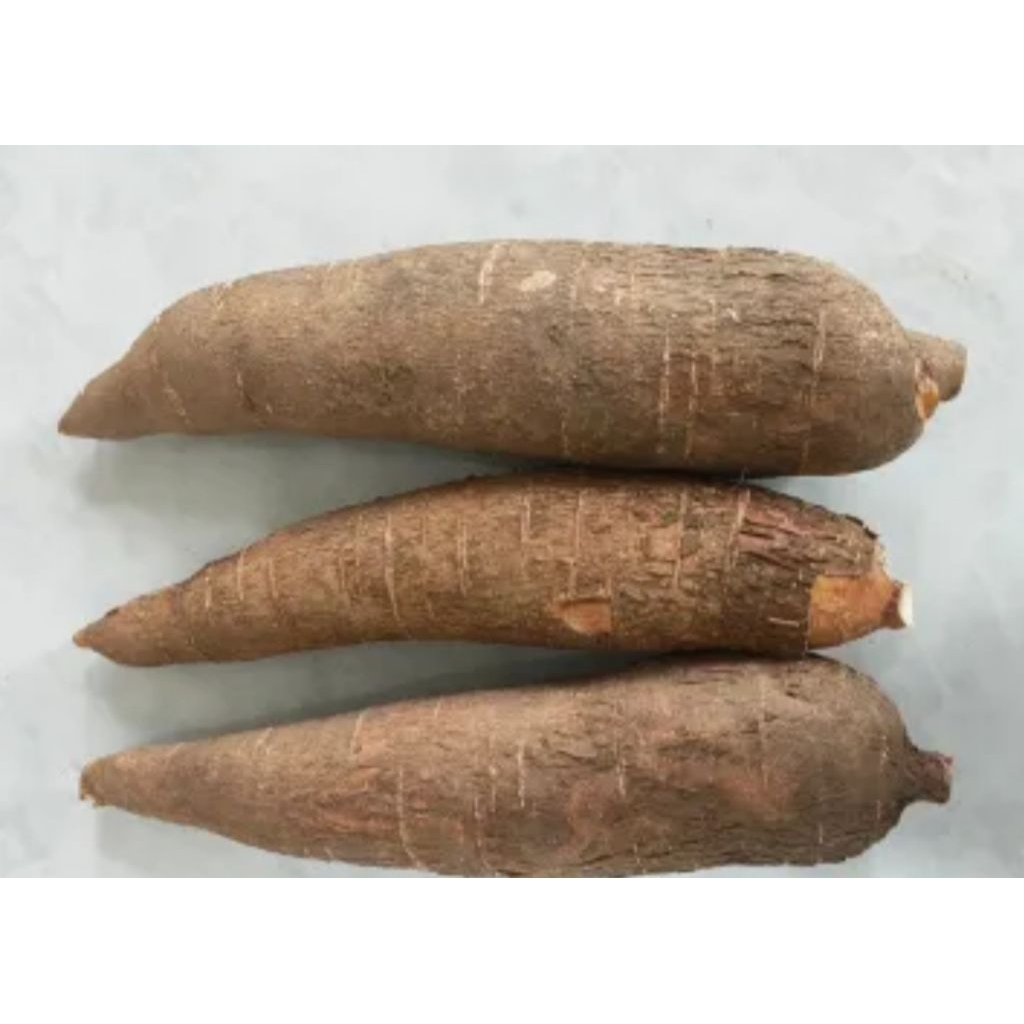 

Singkong Sapi kuru Karihkil/Singkong Gendewuro Segar 1 Kg