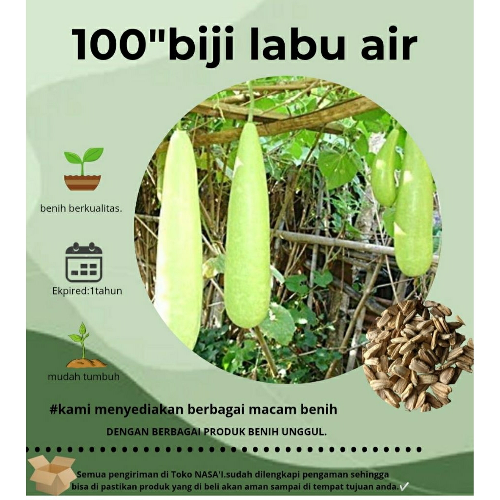 

100>biji labu air super