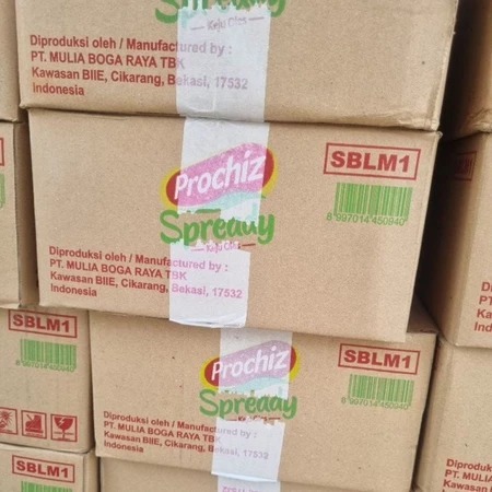 

Prochiz Spready Keju Oles 160gr (isi 48pcs) - DUS