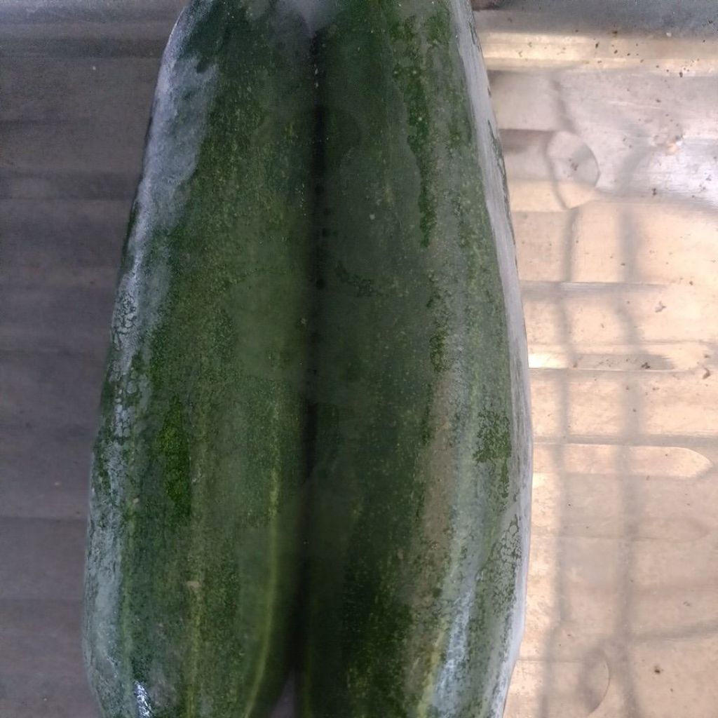 

timun 2 biji berat sekitar 500 gram