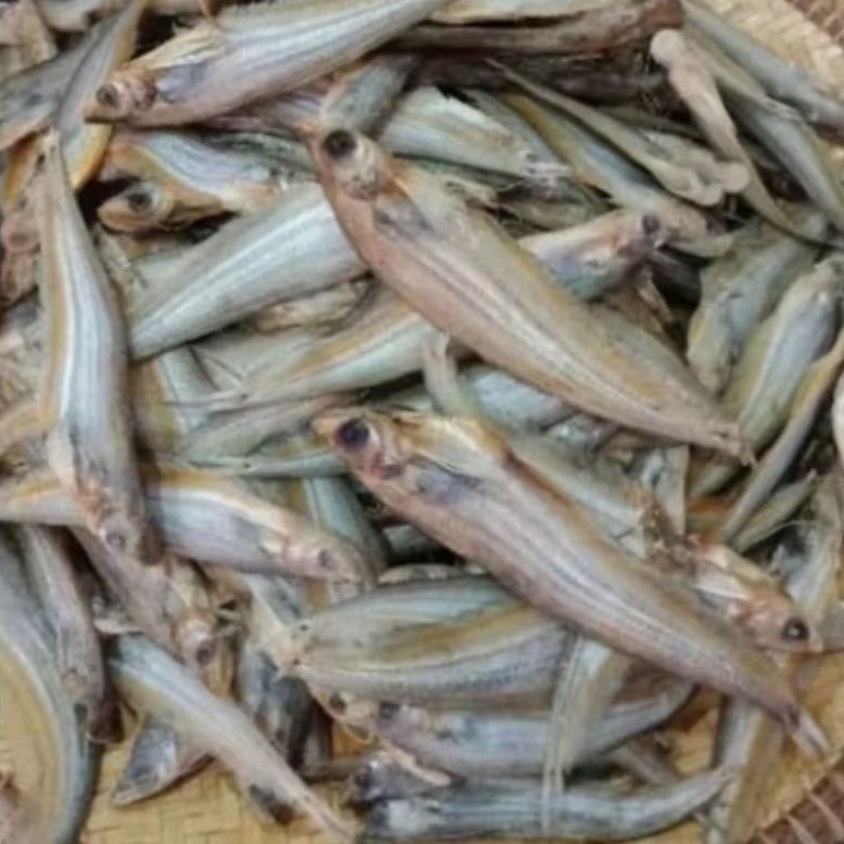 Ikan Asin LAIS 100g Seafood Kering Khas Pontianak