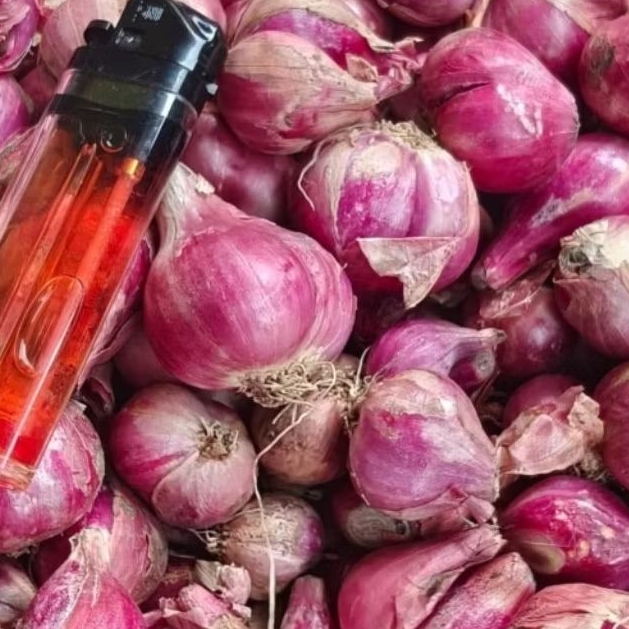 

Bawang merah 1 kg 1000 gram Brambang Fress tanggung besar kecil super