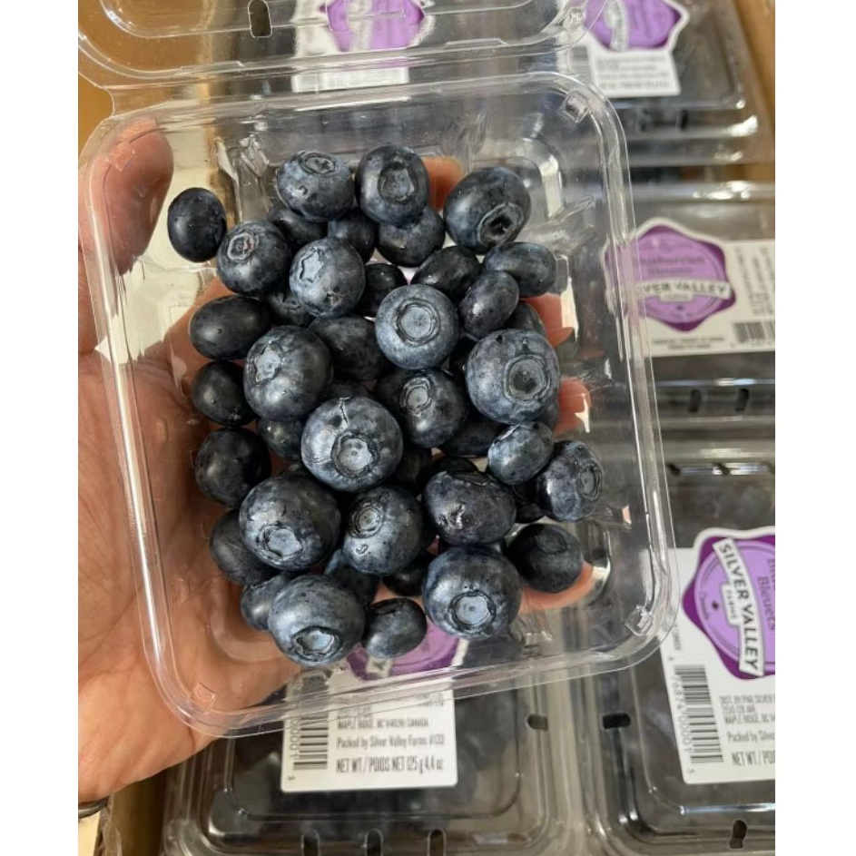 

Fresh Blueberry