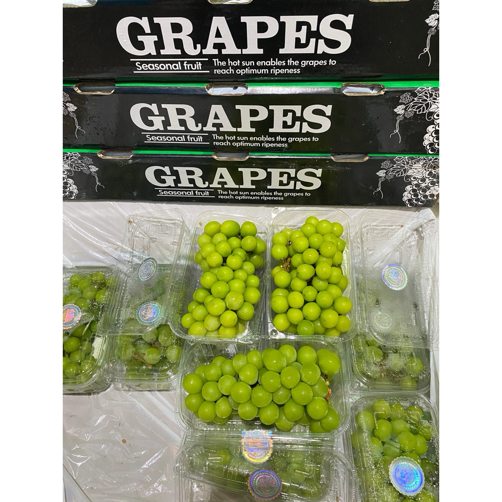 

ANGGUR SHINE MUSCAT MURAH & FRESH (khusus via gosend instant)