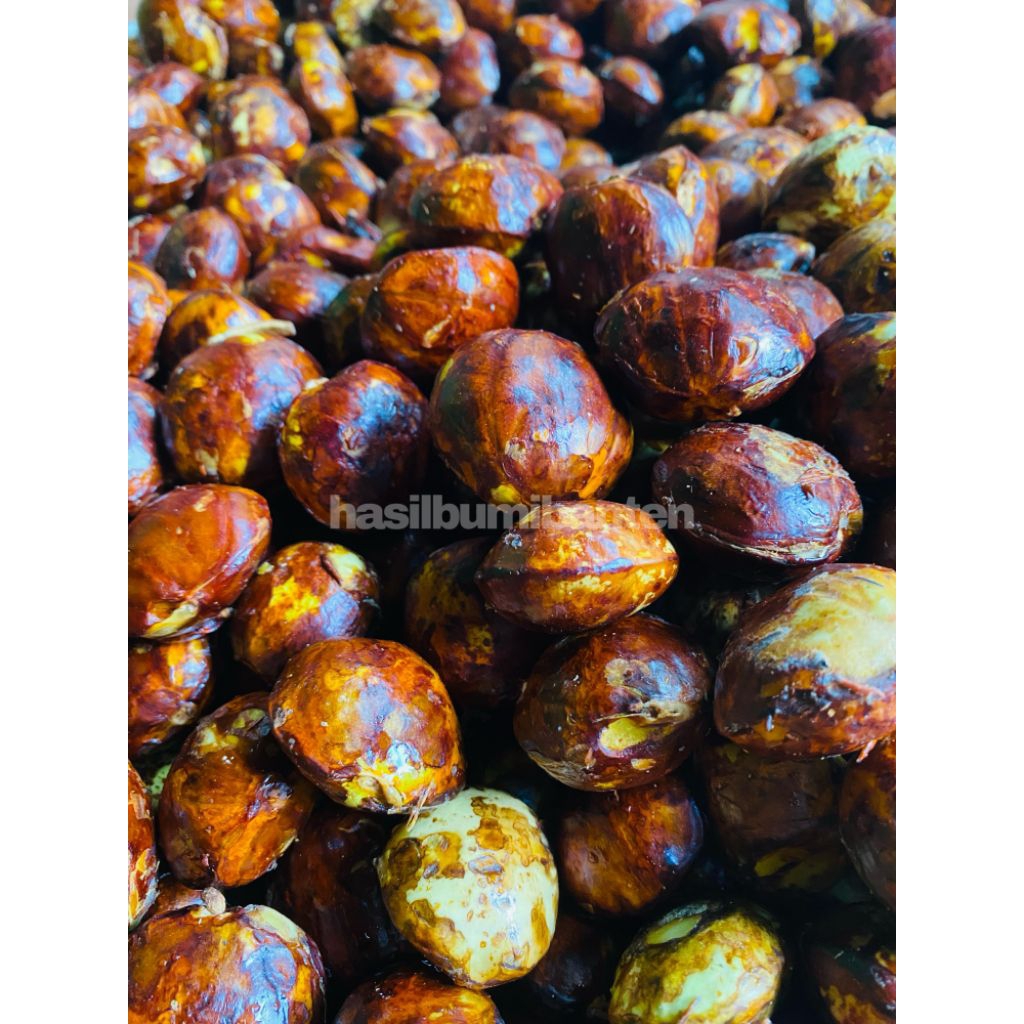 

JENGKOL TUA PATEN 500gr SUPER BIJI BESAR