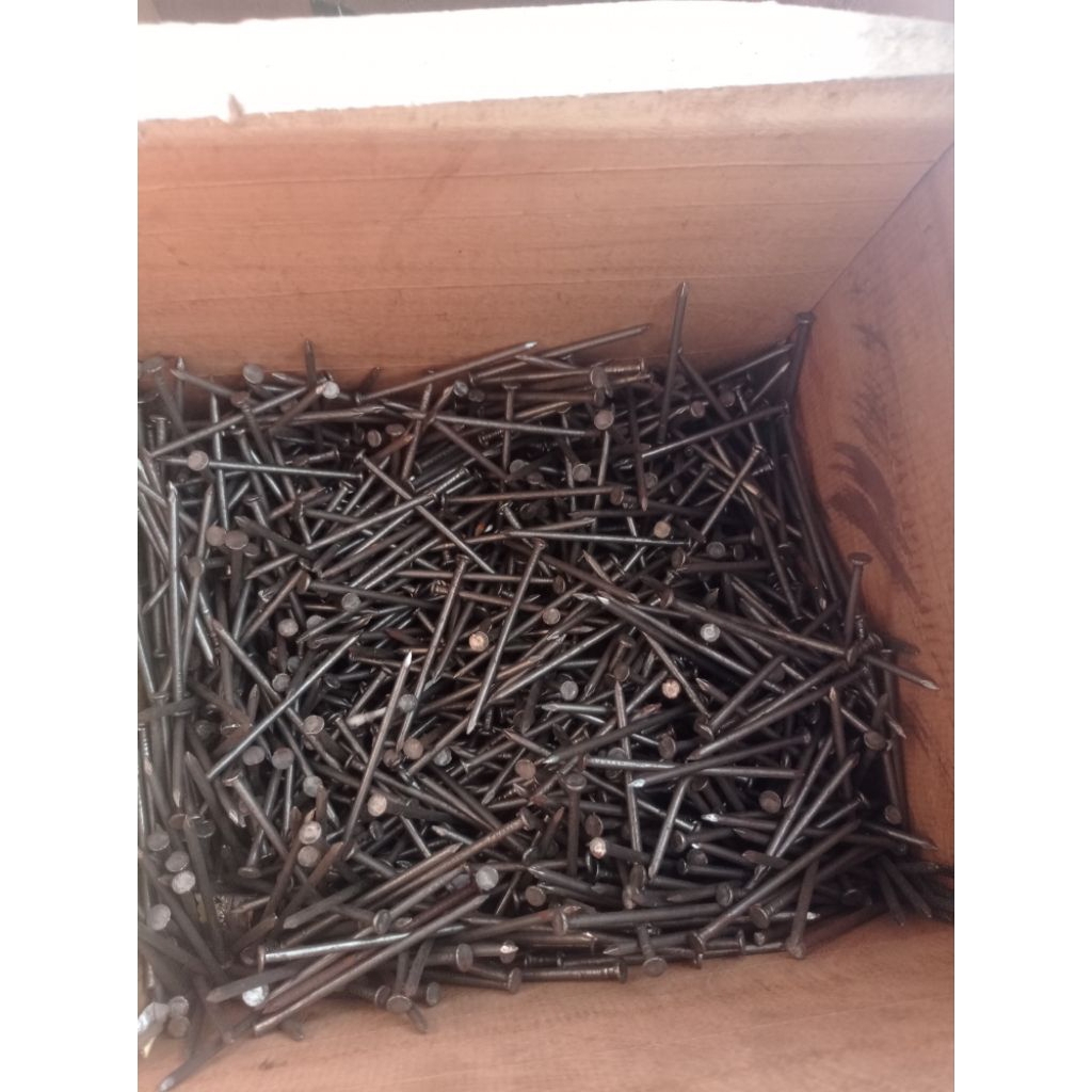 paku kayu 7 cm perkilo