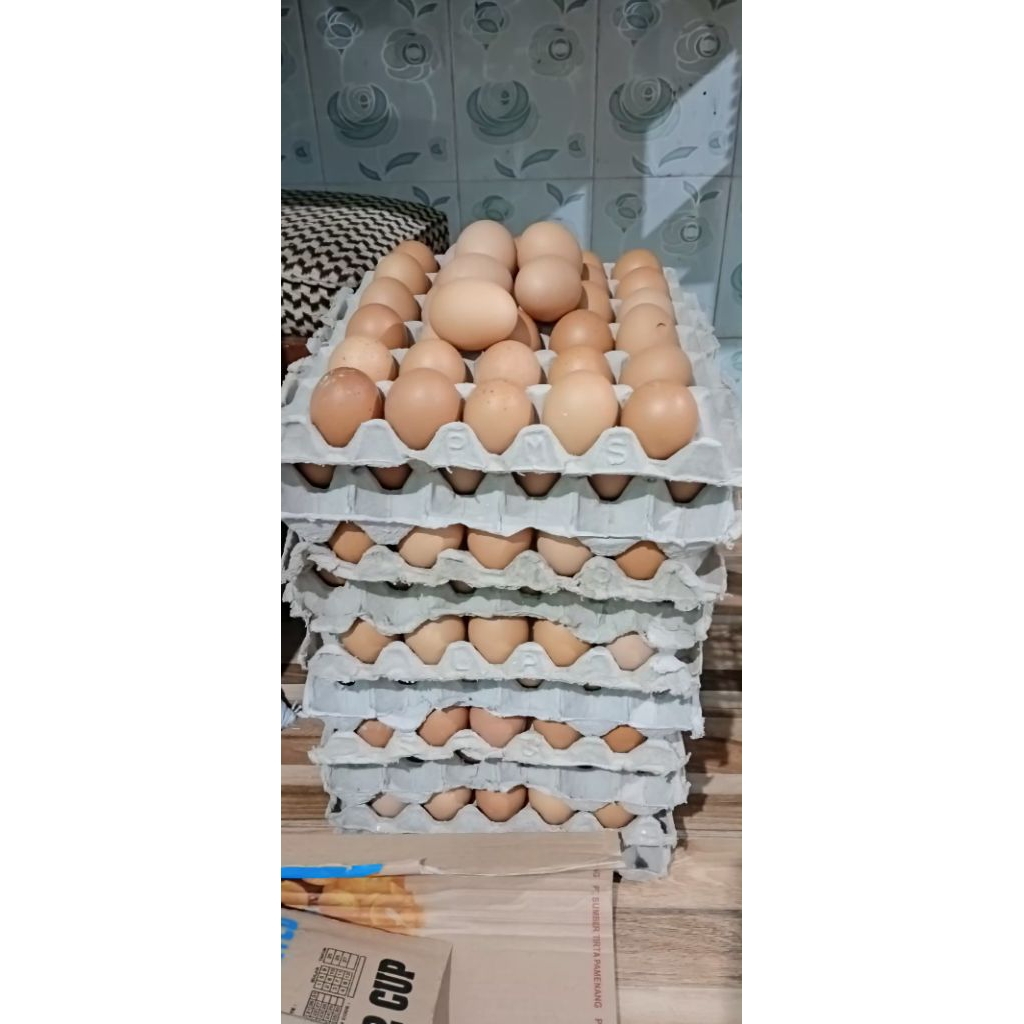 

TELUR AYAM (KHUSUS PENGIRIMAN INSTAN)