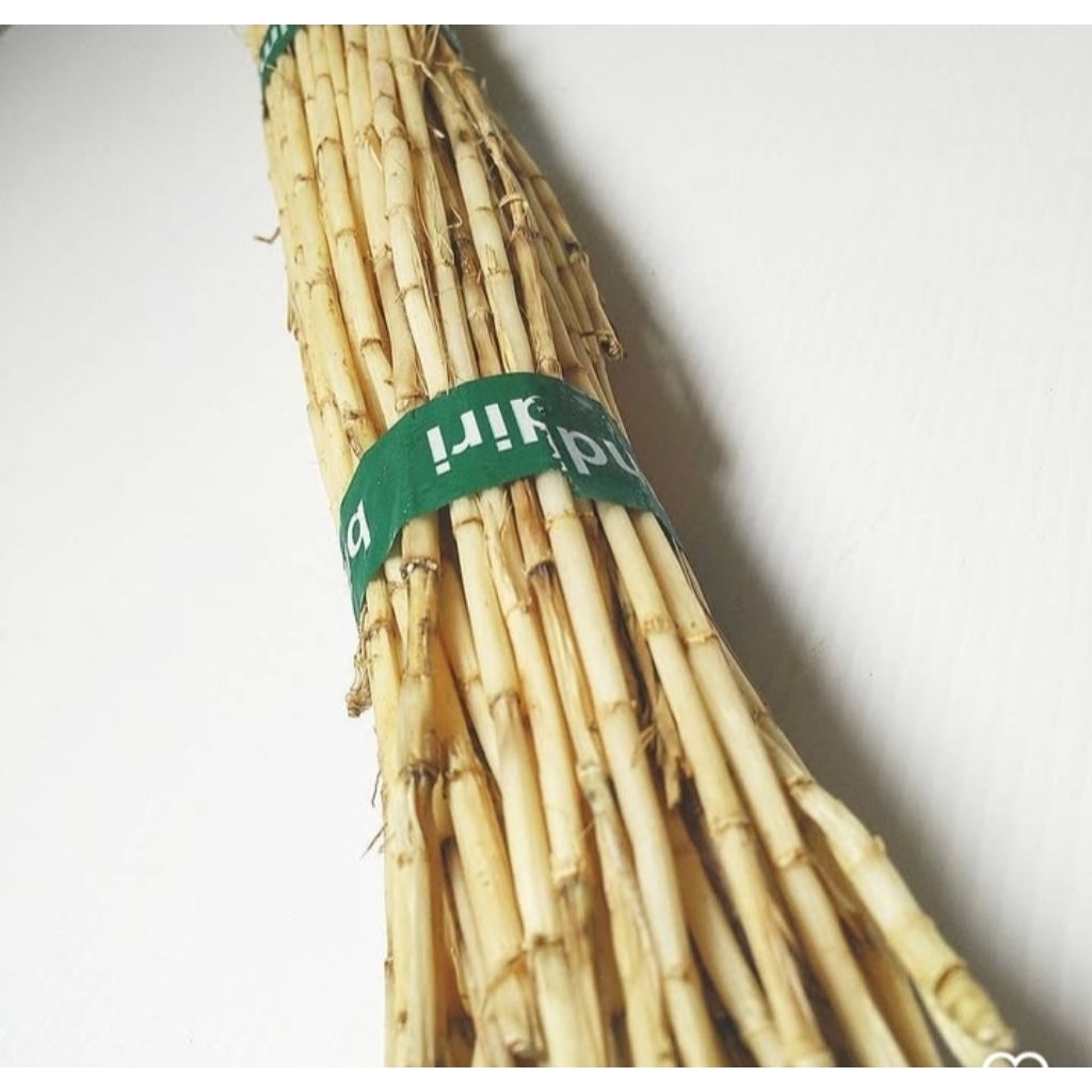 

AKAR ALANG ALANG SEGAR ( READY STOK )