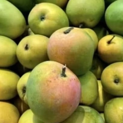 

mangga gedong gincu manis segar 1kg