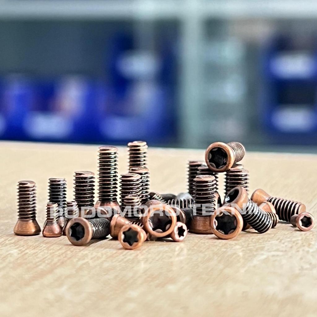 Baut Holder / Baut Bintang M4X8 Screw Bintang M4 X 8 Insert Holder Bubut Milling