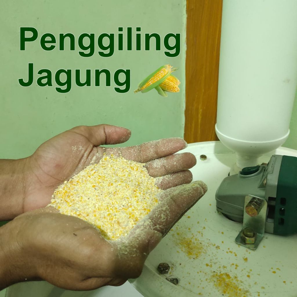 Penggiling Jagung Pakan Ternak Cacah Jagung