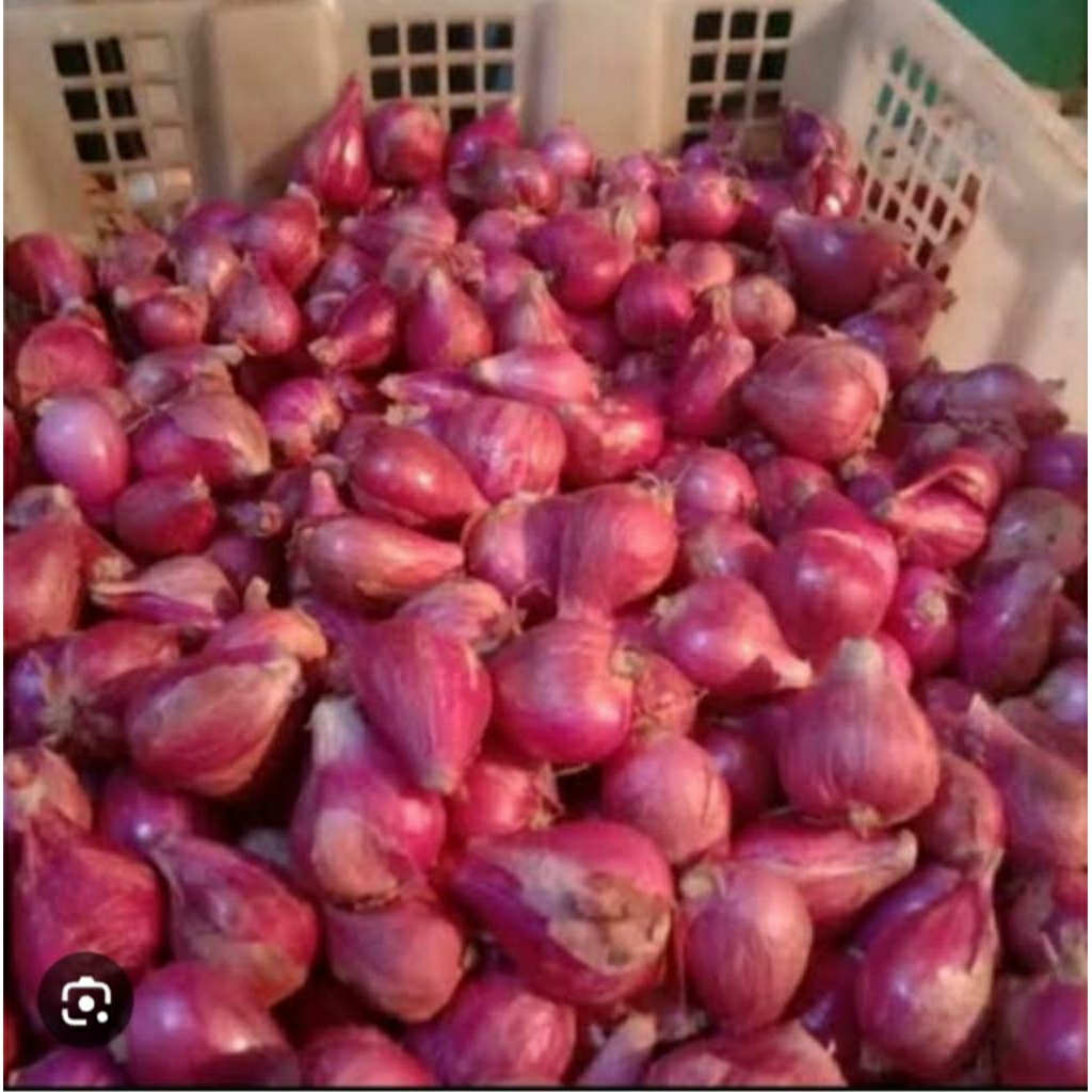 

Bawang merah Lokal 100gr/250gr/500gr