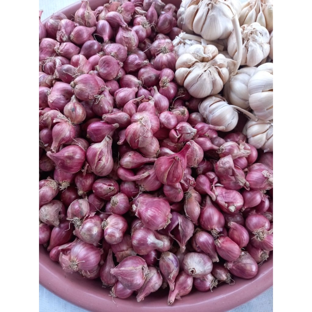 

bawang merah