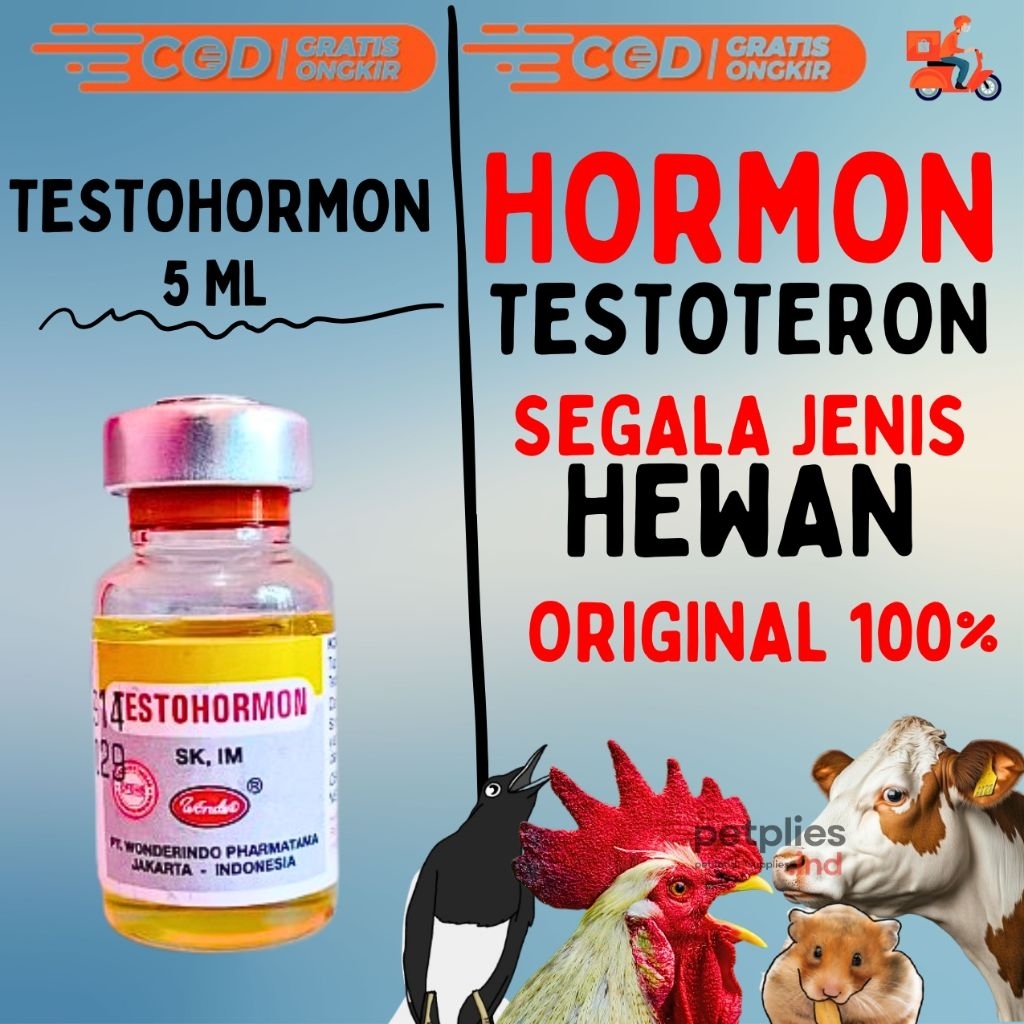 TESTOHORMON 5 ML WONDER - untuk Memperbaiki Fungsi Reproduksi Pada Ternak hormon tingkatan reproduks