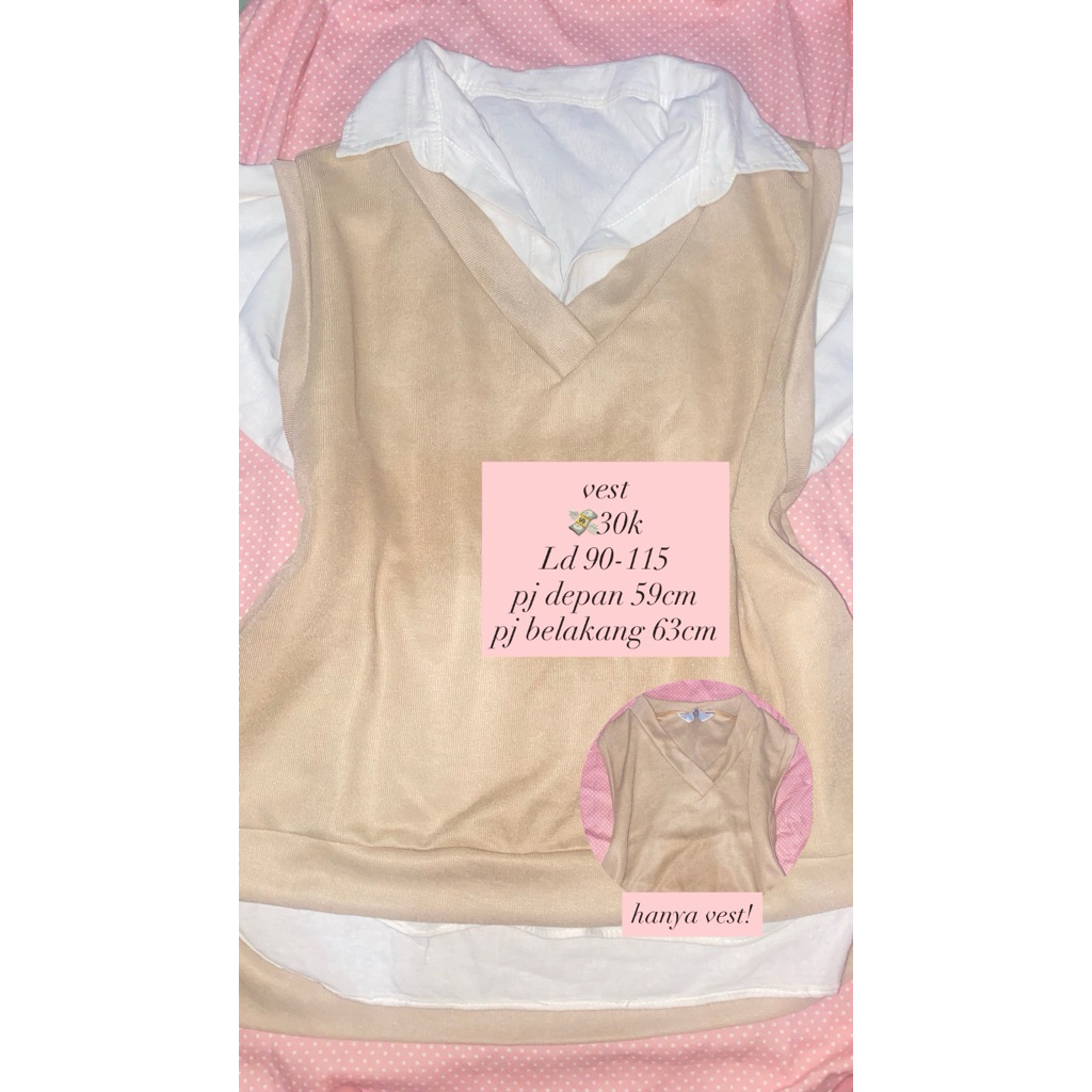 Preloved Vest (vest only)