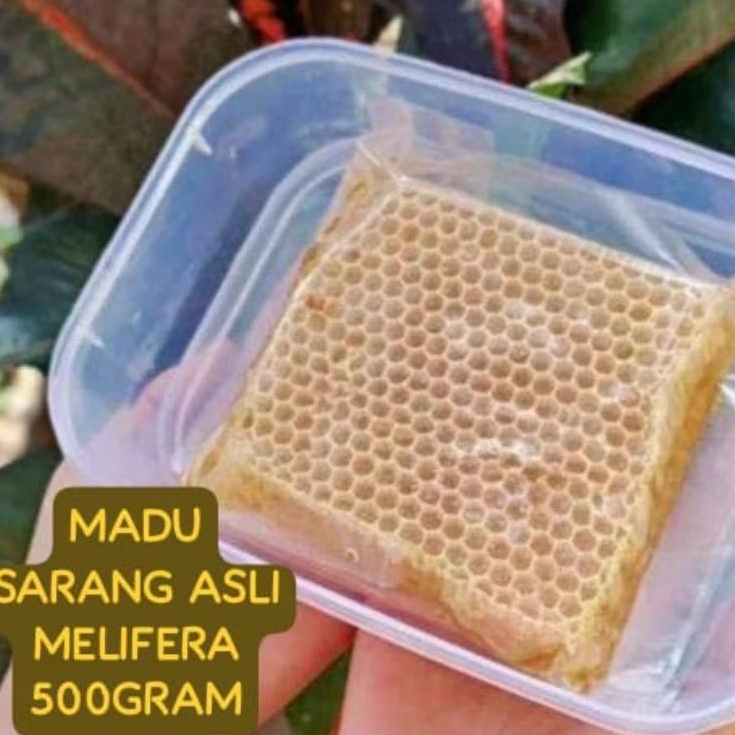 

Madu sarang asli 500 Gram melfera