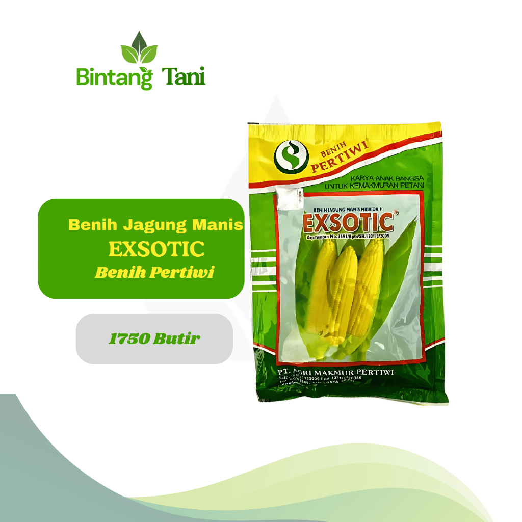 Benih Jagung Manis Exsotic Pertiwi 1750 Butir Original | Bibit Jagung Manis Super