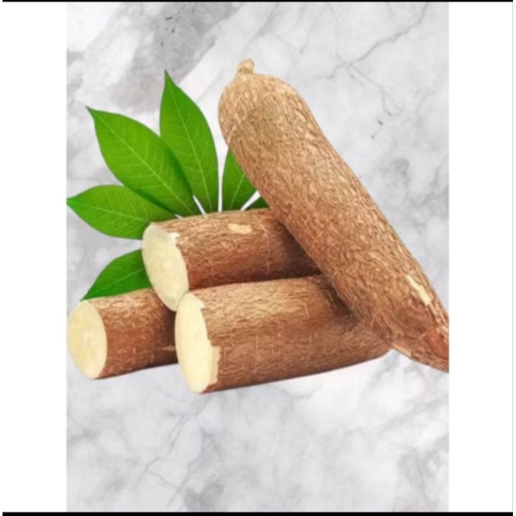 

Singkong Fres 1 kg (hasil kebun sendiri)