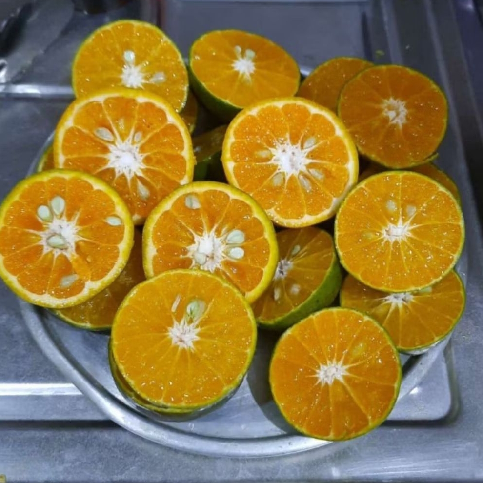 

jeruk peras Pontianak | rasa manis 80% segar 20% (paket 5 kg)