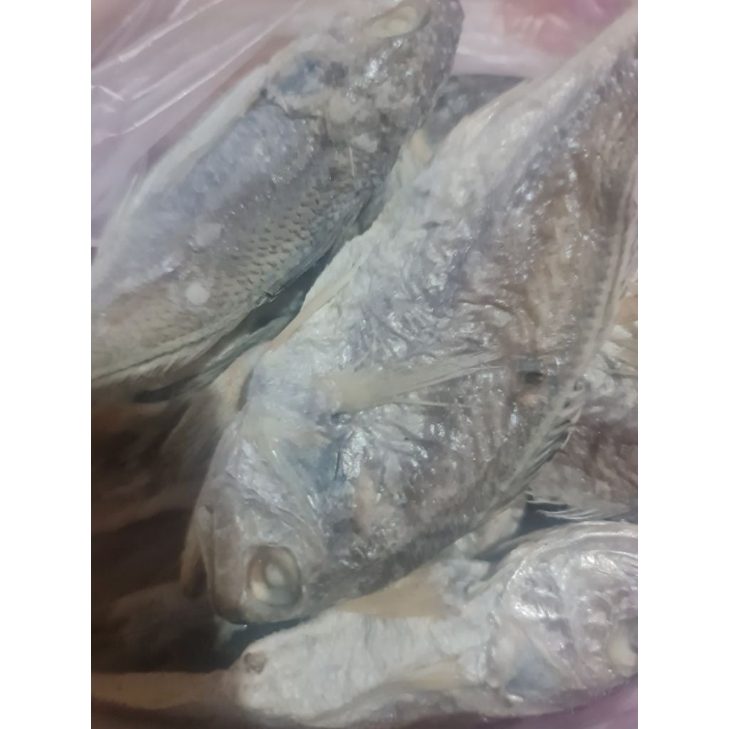 

Ikan Asin kepala batu 500 gr