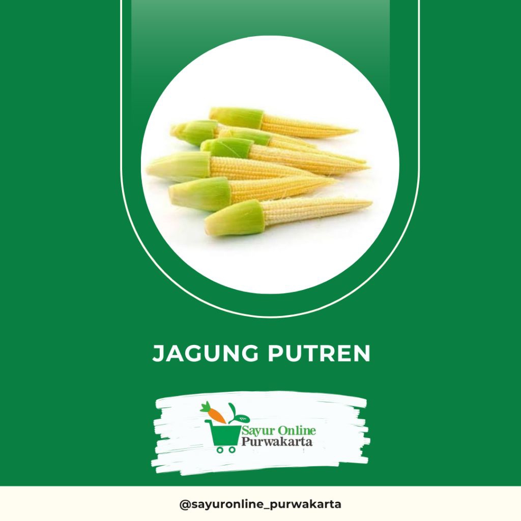 

Jagung Putren - Sayur Online Purwakarta